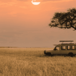 What Is the Best Zanzibar and Tanzania Safari Package
