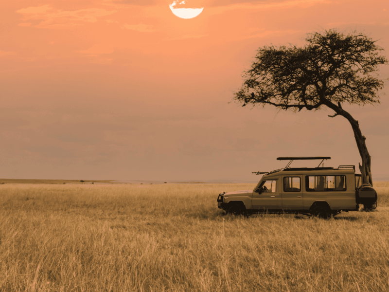 What Is the Best Zanzibar and Tanzania Safari Package