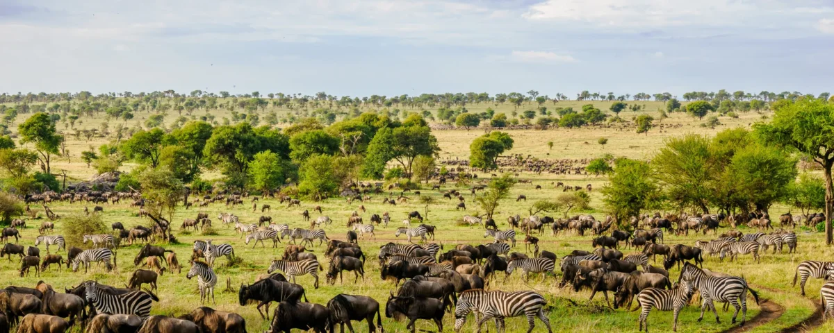 How Far Is Ngorongoro from Serengeti