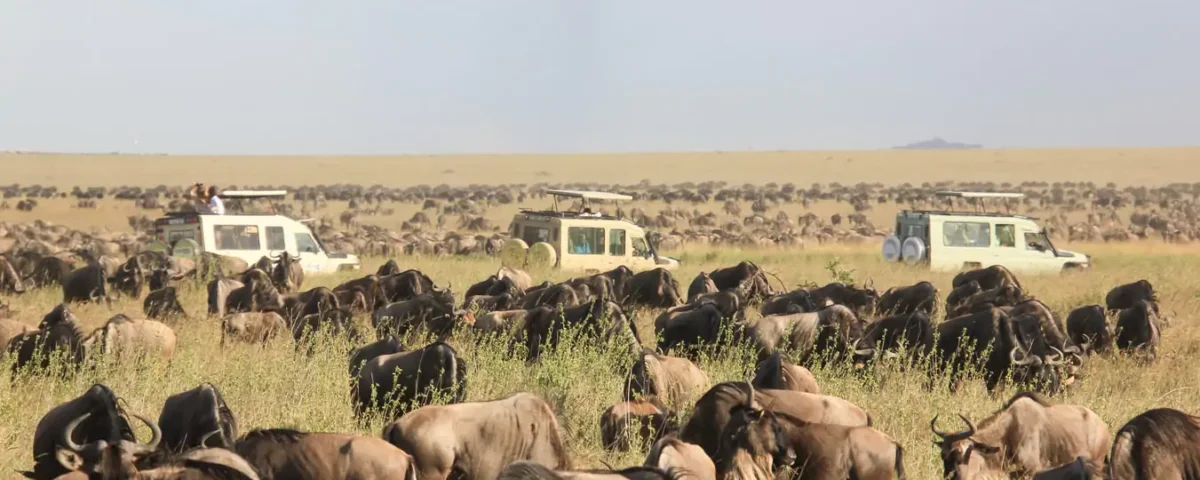 Can Families Combine Safari and Zanzibar