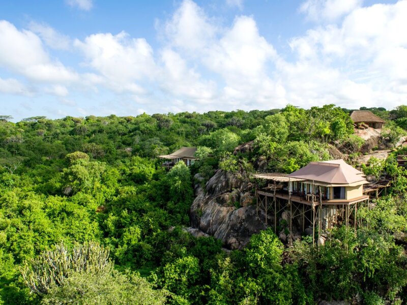 What Is the Best Family Safari Lodge in Tanzania