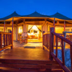 What Is Luxury Tented Safari Tanzania
