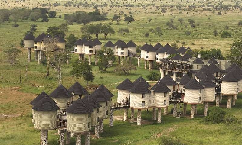 What Are the Best Child Friendly Safari Camps in Kenya