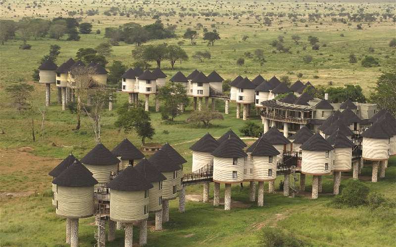 What Are the Best Child Friendly Safari Camps in Kenya