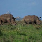 What Are the Best Day Trips From Nairobi