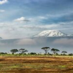 What Are the Best Eco-Friendly Safaris in Kenya