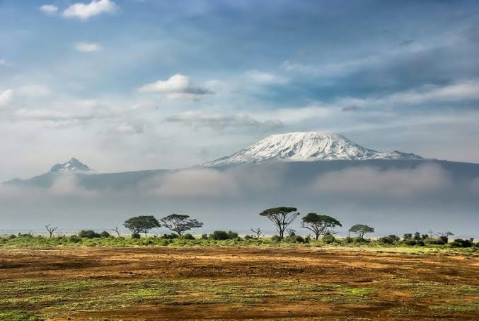 What Are the Best Eco-Friendly Safaris in Kenya
