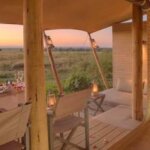 What Are the Best Family Safari Lodges in Kenya