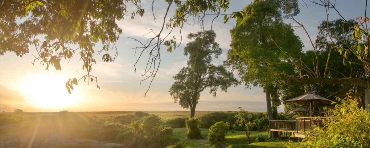 What Are the Best Fly-In Safaris in Kenya
