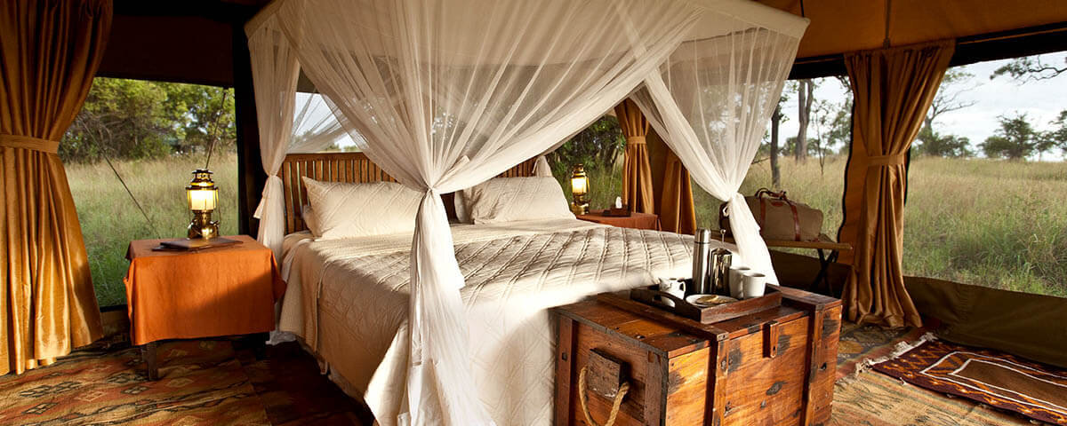 What Are the Best Glamping Safaris in Kenya