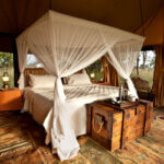 What Are the Best Glamping Safaris in Kenya