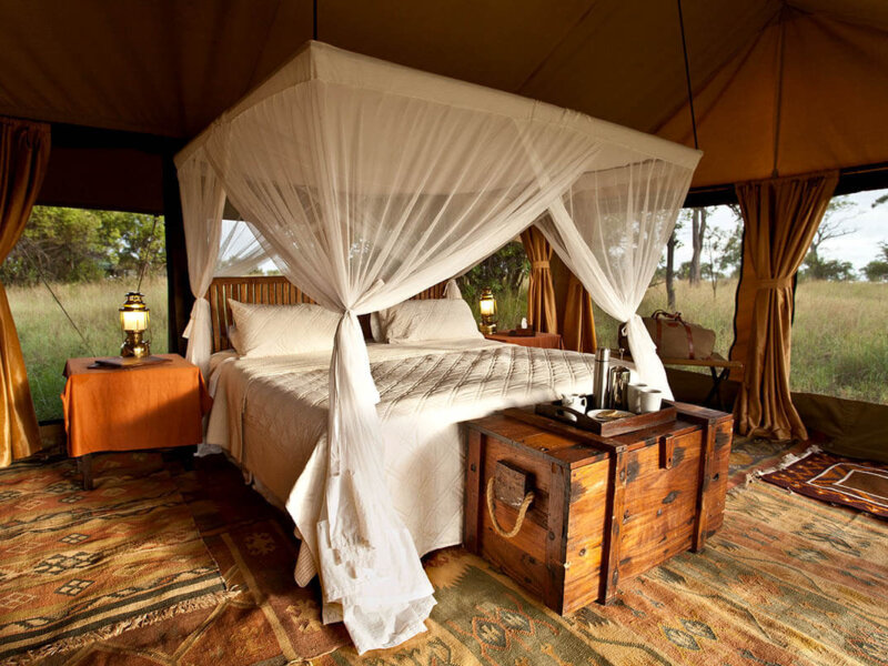 What Are the Best Glamping Safaris in Kenya