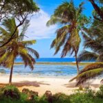 What Are the Best Kenya Beach and Safari Holidays
