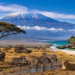 What Are the Best Kenya Safari Deals