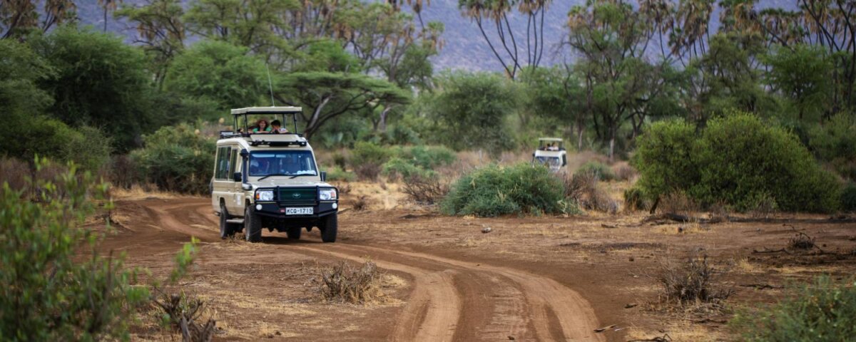 What Are the Best Kenya Safari Road Trips