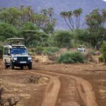 What Are the Best Kenya Safari Road Trips