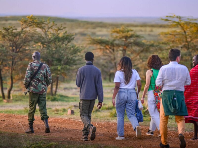 What Are the Best Long Safari Tours in Kenya?