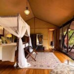 What Are the Best Safari Camps in Masai Mara?