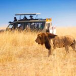 What Are the Best Safari Destinations for Repeat Travelers