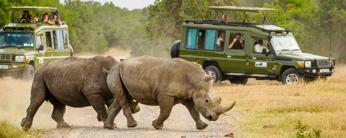 What Are the Best Safari Itineraries for Masai Mara