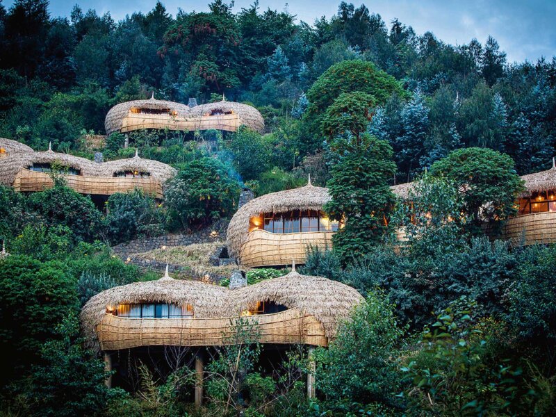 What Are the Best Safari Lodges in Rwanda