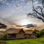 What Are the Best Safari Parks for Family Holidays