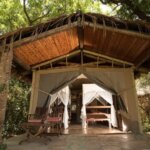 What Is the Best 10-Day Kenya Safari