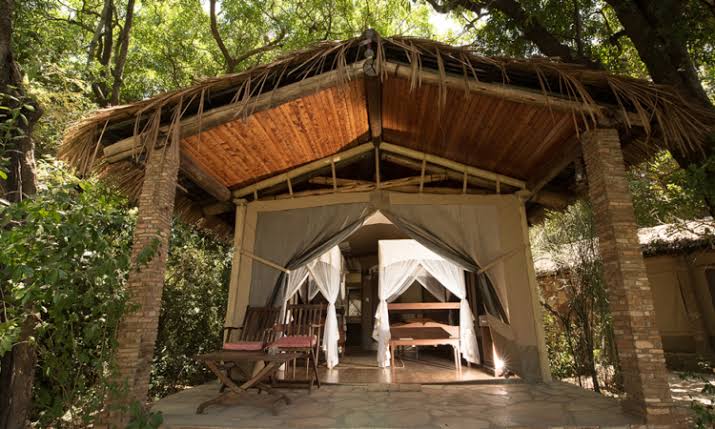 What Is the Best 10-Day Kenya Safari