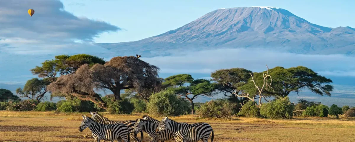What Is the Best 3-Day Kenya Safari