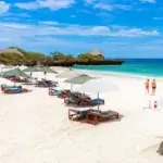 What Is the Best 7-Day Kenya Safari