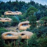 What Is the Best Luxury Safari in Rwanda