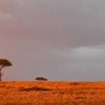 What Is the Dry Season in Kenya?