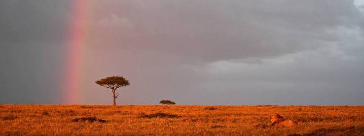 What Is the Dry Season in Kenya?