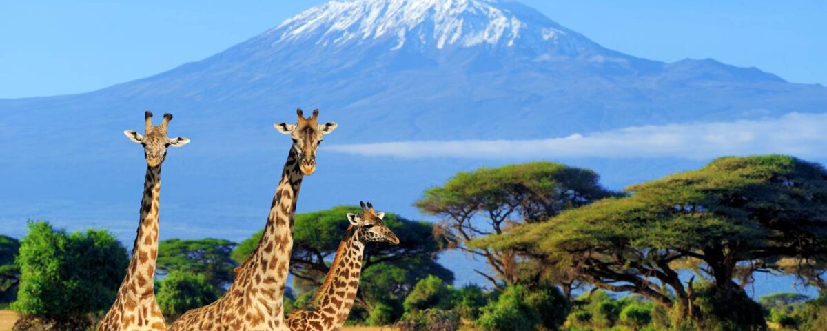 What Makes Amboseli Famous