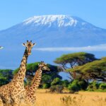 What Makes Amboseli Famous