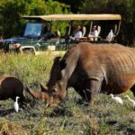 What animals are found in Meru National Park?