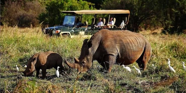 What animals are found in Meru National Park?