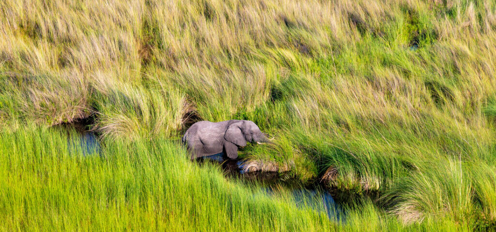 What are the Best Safari Destinations for Wildlife Enthusiasts