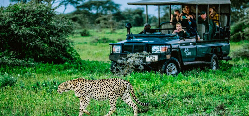 What are the best East African safari itineraries?