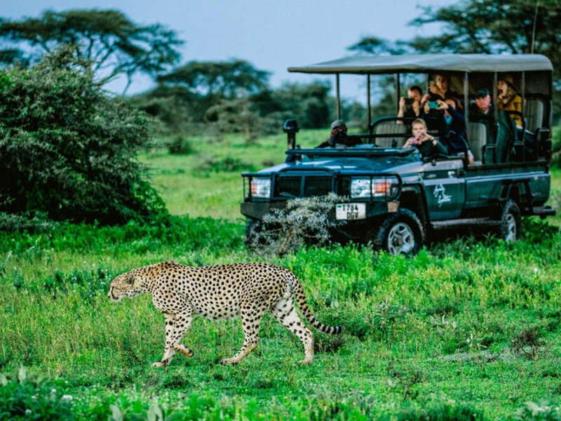 What are the best East African safari itineraries?