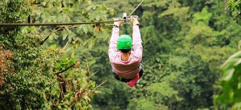 What are the best Kenya safari activities?
