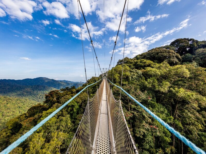What are the best Rwanda safari destinations for photography