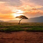 What are the best safari destinations for sunset photography