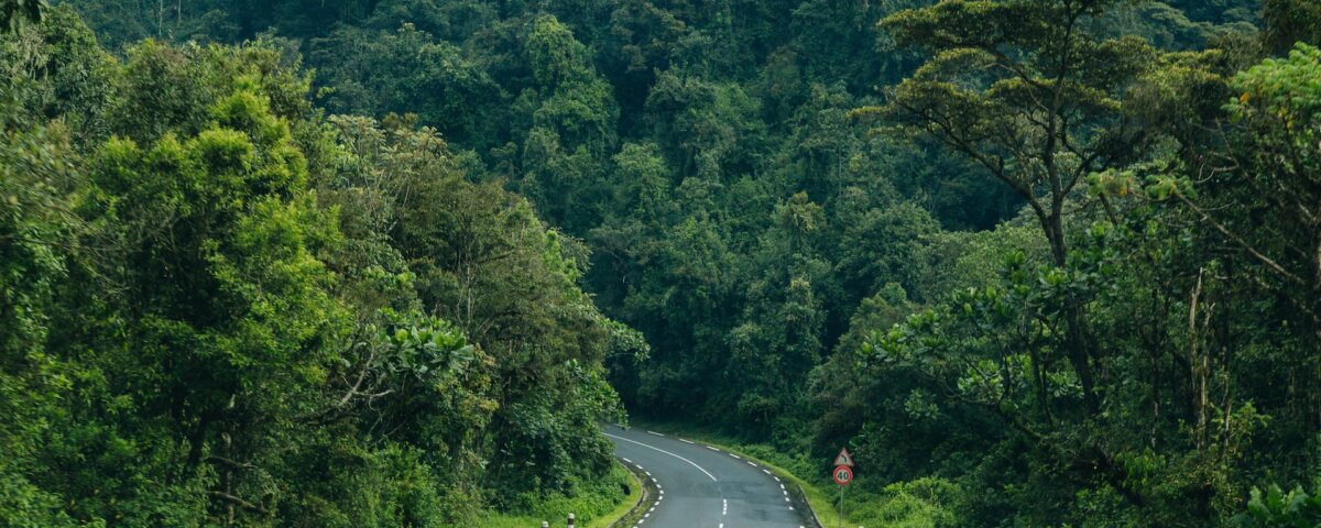 What is the Best Road Trip Safari in Rwanda