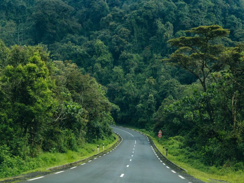What is the Best Road Trip Safari in Rwanda