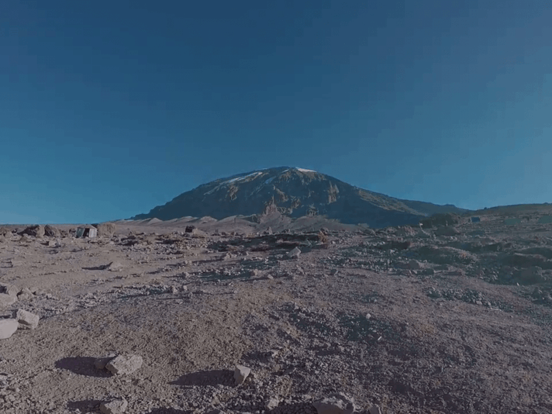 What Is the Success Rate for Kilimanjaro