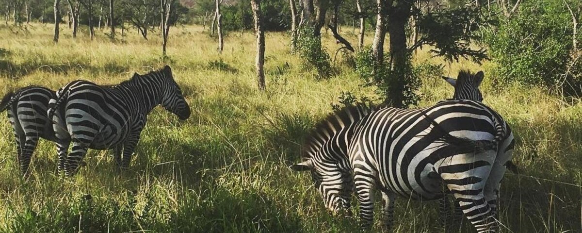 What is the best private safari in Rwanda