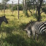 What is the best private safari in Rwanda