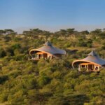 Which Kenya Safari Camps Are Luxury