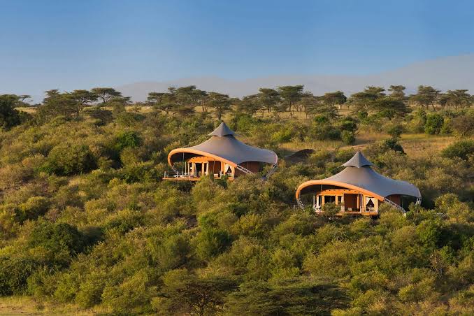 Which Kenya Safari Camps Are Luxury